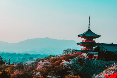 Japanese Wedding Traditions