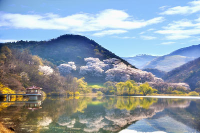 Korean Wedding Traditions