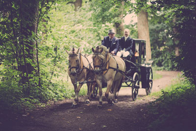 Horse-drawn carriage ride