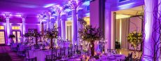 Dramatic and Elegant Purple Uplighting