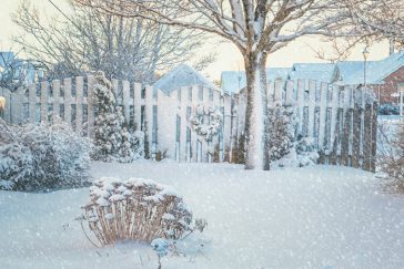 winter wedding