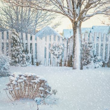 winter wedding